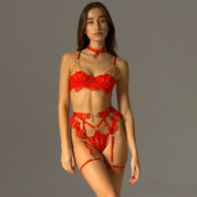 Zara's Luxury Lingerie Set